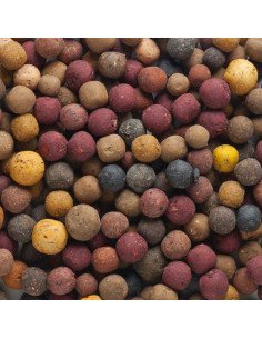 Mivardi Rapid Boilies Multi Mix 10kg - Premium Mix Futterboilies-Boilies-JJ-Fishing 2