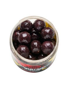 Mivardi Rapid Boostered Boilies King Plum 24mm 250ml - Hakenköder hochintensiv gedippt-Hookbaits-JJ-Fishing