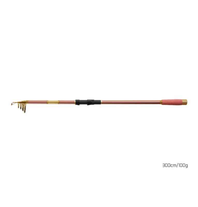 Delphin QUEEN Tele Carp Rod 300cm 100g Karpfenrute Teleskoprute-Ruten-JJ-Fishing