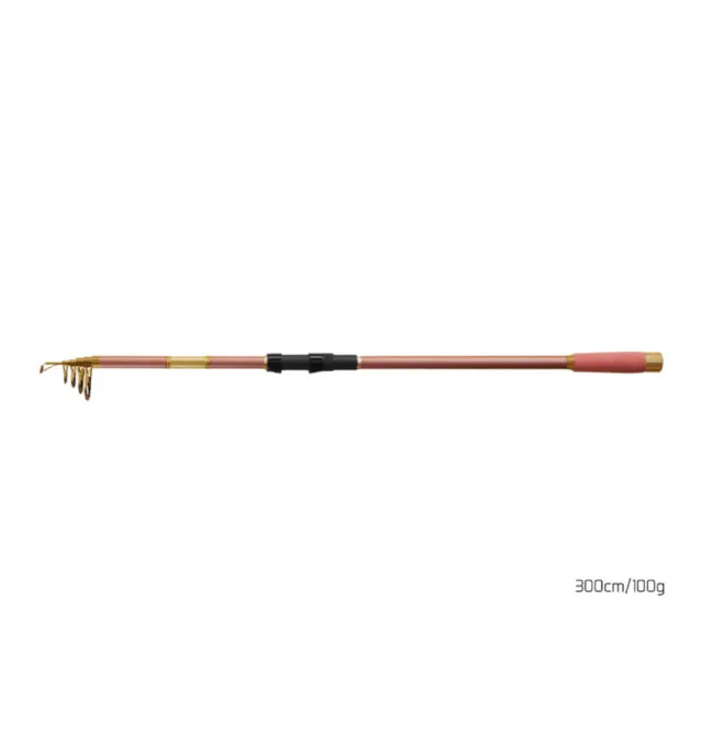 Delphin QUEEN Tele Carp Rod 300cm 100g Karpfenrute Teleskoprute-Ruten-JJ-Fishing