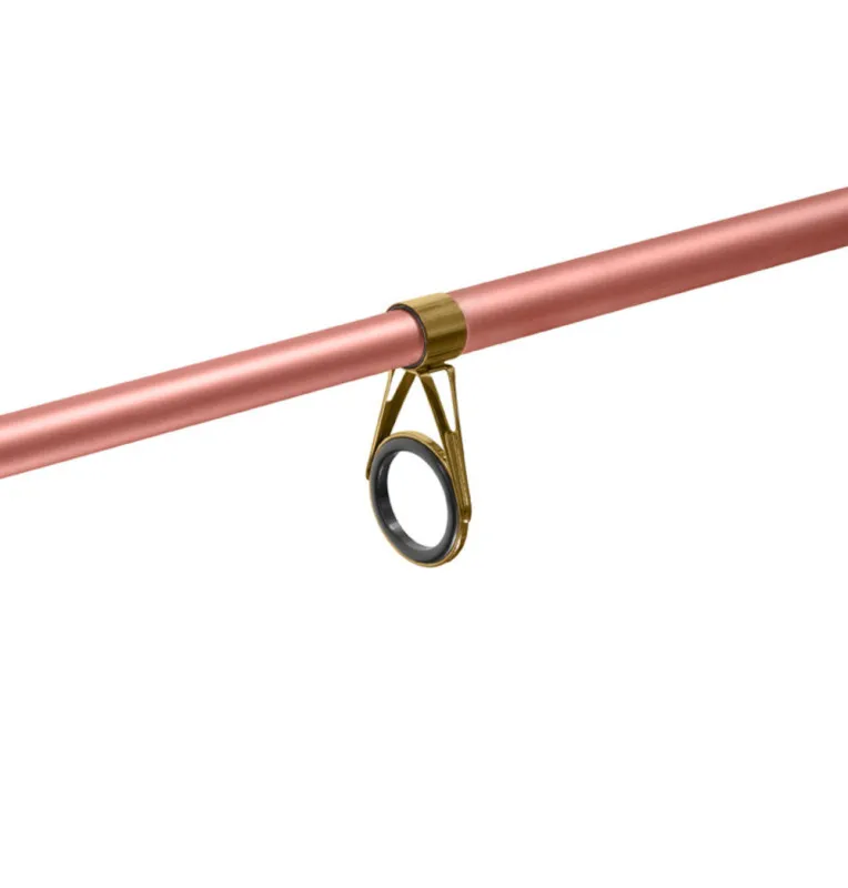 Delphin QUEEN Teleskoprute Transportrute 300cm/100g-Rods-JJ-Fishing