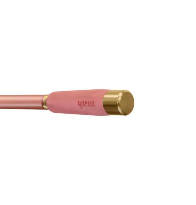 Delphin QUEEN Tele Carp Rod 300cm 100g Karpfenrute Teleskoprute-Ruten-JJ-Fishing