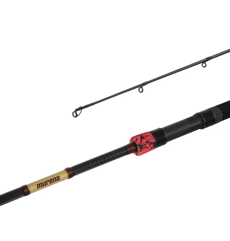 Delphin MURENA POWER Heavy Spinnrute 300cm 125g Wels-Ruten-JJ-Fishing