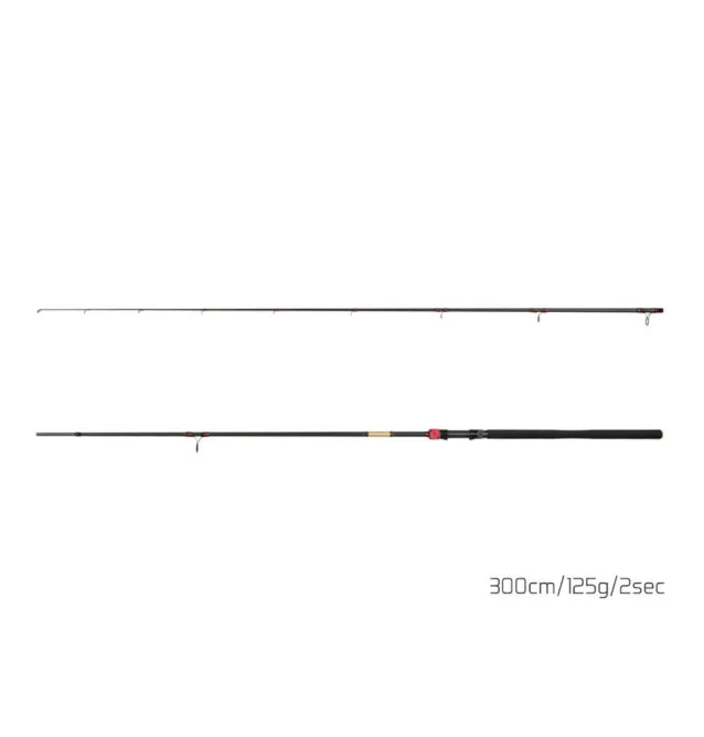 Delphin MURENA POWER Heavy Spinnrute 300cm 125g Wels-Ruten-JJ-Fishing