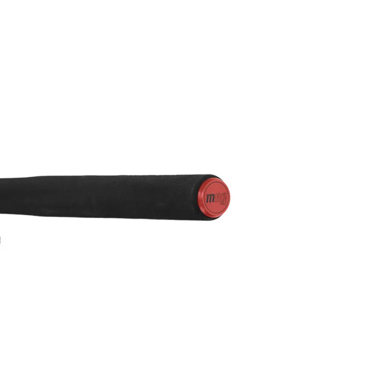 Delphin MURENA POWER Heavy Spinnrute 300cm 125g Wels-Ruten-JJ-Fishing