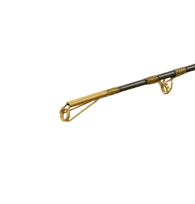 Delphin HAZARD BxG 310cm 505g Wels Angelrute Grundrute Waller Angeln Limited Edition-Ruten-JJ-Fishing