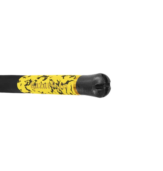 Delphin HAZARD BxG 310cm 505g Wels Angelrute Grundrute Waller Angeln Limited Edition-Ruten-JJ-Fishing