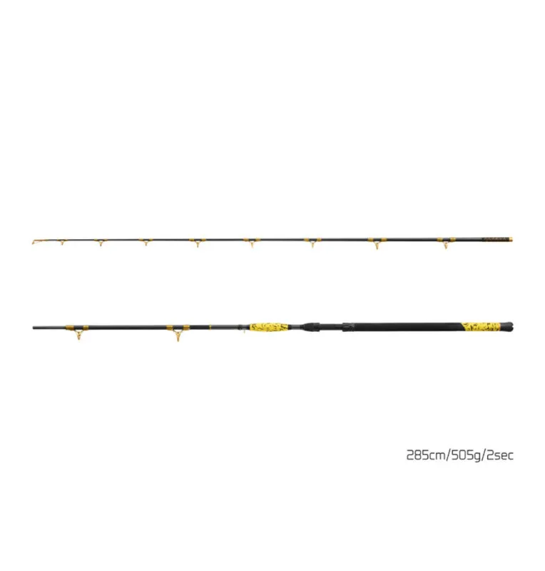 Delphin HAZARD BxG 285cm 505g Wels Angelrute Grundrute Waller Angeln Limited Edition-Ruten-JJ-Fishing