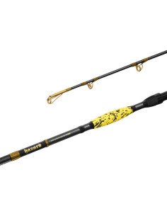 Delphin HAZARD BxG 255cm 505g Wels Angelrute Grundrute Waller Angeln Limited Edition-Ruten-JJ-Fishing