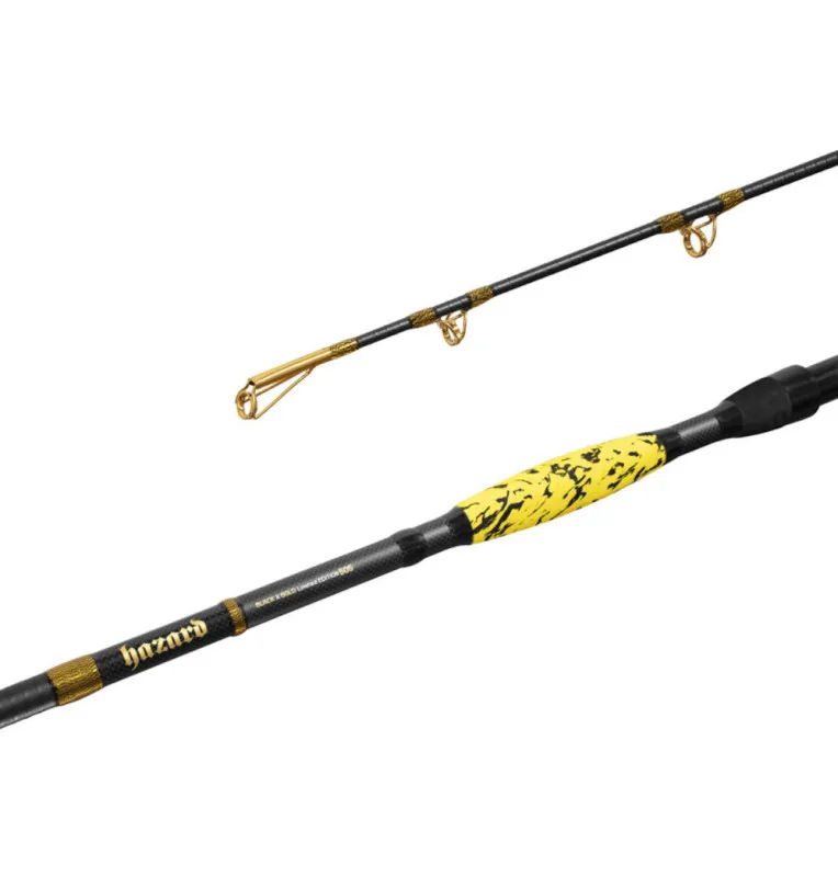Delphin HAZARD BxG 255cm 505g Wels Angelrute Grundrute Waller Angeln Limited Edition-Ruten-JJ-Fishing