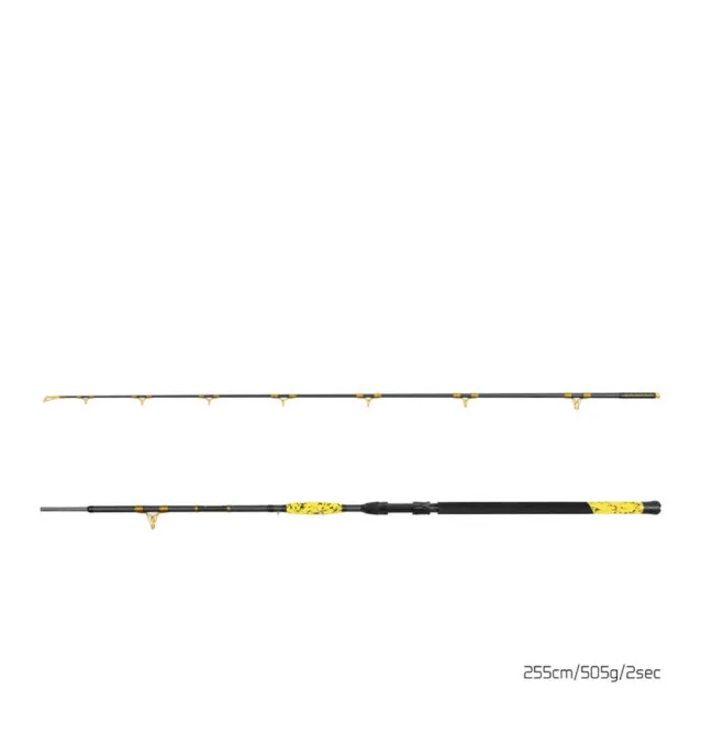 Delphin HAZARD BxG 255cm 505g Wels Angelrute Grundrute Waller Angeln Limited Edition-Ruten-JJ-Fishing