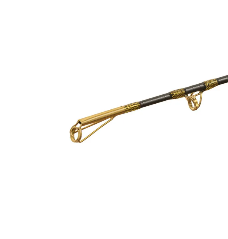 Delphin HAZARD BxG 255cm 505g Wels Angelrute Grundrute Waller Angeln Limited Edition-Ruten-JJ-Fishing