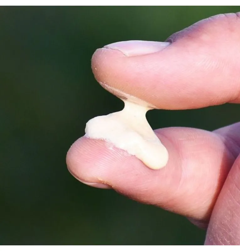 Haldorado LEGEND MAX Jam - Kiwi Method Feeder Additive Dickflüssig Hochintensiev-Köder-JJ-Fishing