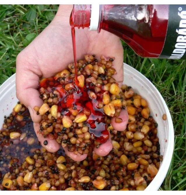 Haldorado Carp Syrup - Black Squid 500ml PVA Friendly Additive Karpfen Magnet-Dip ́s-JJ-Fishing