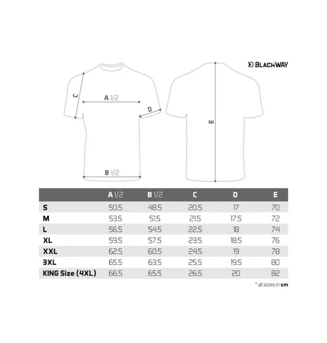 Delphin BlackWAY S T-Shirt Angelbekleidung-Clothing-JJ-Fishing