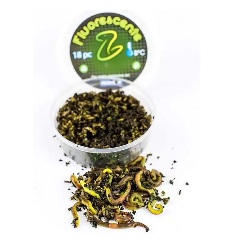 Baitex XL Mistwurm Fluoro in Dose 18 Stück Angelköder Lebendköder Frisch-Köder-JJ-Fishing