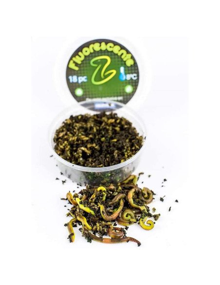 Baitex XL Mistwurm Fluoro in Dose 18 Stück Angelköder Lebendköder Frisch-Köder-JJ-Fishing