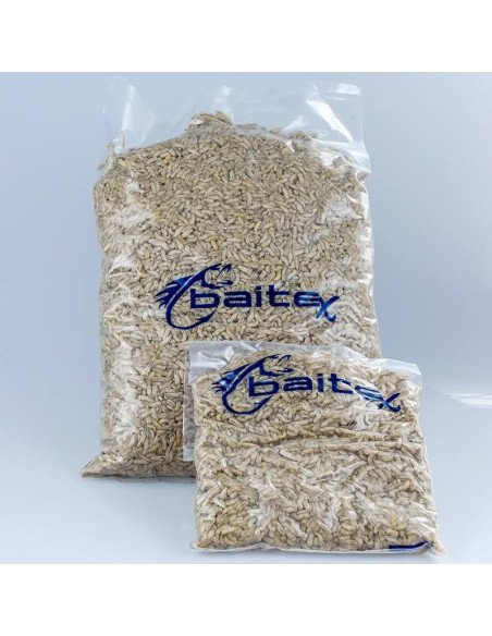 Baitex 1L Maden Weiss Angelköder Lebendköder Frisch-Bait-JJ-Fishing