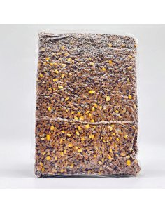 Poseidon Ready Partikel Raps Weizen Mais 3000gr gekocht Carp Food-Köder-JJ-Fishing 2