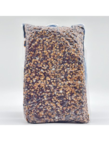 Poseidon Ready Partikel Raps Weizen 1500gr gekocht Carp Food-Bait-JJ-Fishing