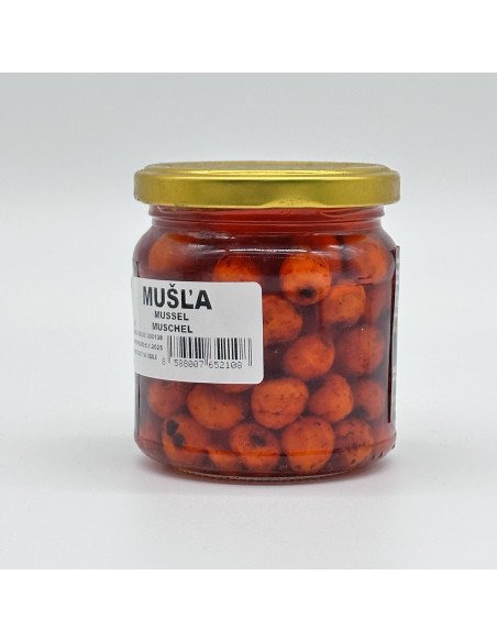 Poseidon Colored Tiernuss Muschel 14mm Tigernüsse im Glas Hookabits-Bait-JJ-Fishing