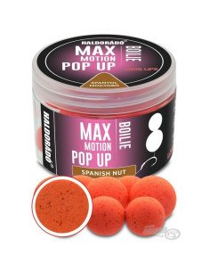 Haldorado Max Motion Pop Up Spanische Haselnuss 16 - 20mm Boilies Extra Intensive Premium Collection-Köder-JJ-Fishing