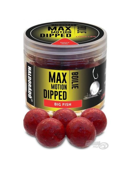 Haldorado Max Motion Dipped Big Fish 20mm Hookbaits Boilies Extra Intensive Inserted Premium Collection-Bait-JJ-Fishing