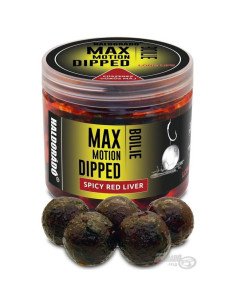 Haldorado Max Motion Dipped Hookbaits Spicy Red Liver 20mm Boilies Extra Intensive Inserted Premium Collection-Köder-JJ-Fishing
