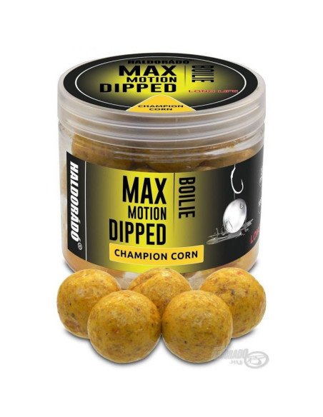 Haldorado Max Motion Dipped Hookbaits Champion Corn 20mm Boilies Extra Intensive Inserted Premium Collection-Köder-JJ-Fishing