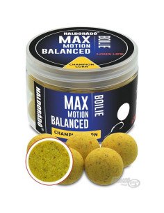 Haldorado Max Motion Balanced Hookbaits Champion Corn 20mm Boilies Extra Intensive Premium Collection-Köder-JJ-Fishing