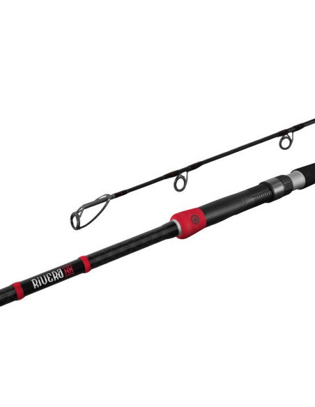 Delphin RIVERA NX 260cm 150g Wels Spinnrute Predator Angelrute Catfish Rod-Ruten-JJ-Fishing