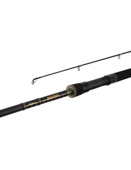 Delphin MURENA 270cm 100g Hecht Wels Spinnrute Weitwurf Predator Edition-Ruten-JJ-Fishing