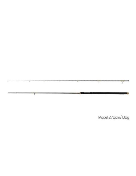 Delphin MURENA 270cm 100g Hecht Wels Spinnrute Weitwurf Predator Edition-Ruten-JJ-Fishing