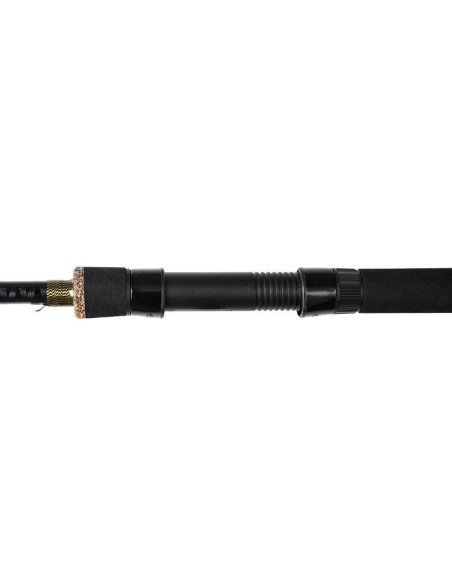 Delphin MURENA 270cm 100g Hecht Wels Spinnrute Weitwurf Predator Edition-Ruten-JJ-Fishing