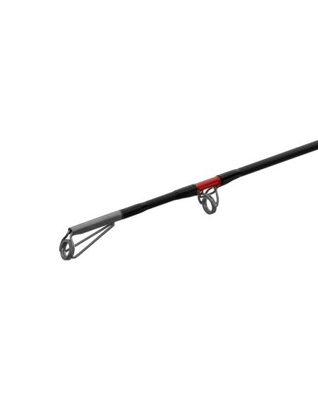 Delphin DANGER CatFISH 310cm 350g Welsrute Profi Angelrute Wels Angel-Ruten-JJ-Fishing