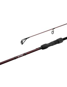 Delphin ETNA LEGEND4RY 10ft 3,0m 3,0lbs Profi Karpfen Angelrute Fudji Edition-Ruten-JJ-Fishing