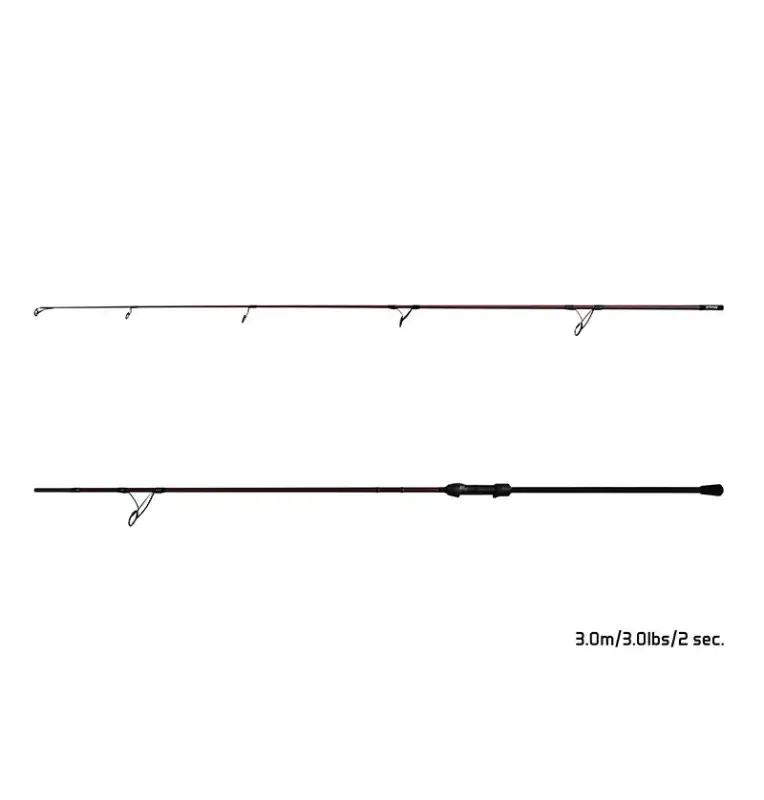 Delphin ETNA LEGEND4RY 10ft 3,0m 3,0lbs Profi Karpfen Angelrute Fudji Edition-Ruten-JJ-Fishing