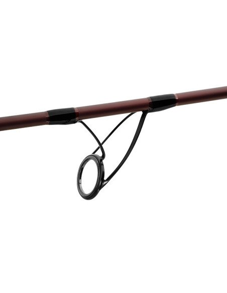 Delphin ETNA LEGEND4RY 10ft 3,0m 3,0lbs Profi Karpfen Angelrute Fudji Edition-Ruten-JJ-Fishing