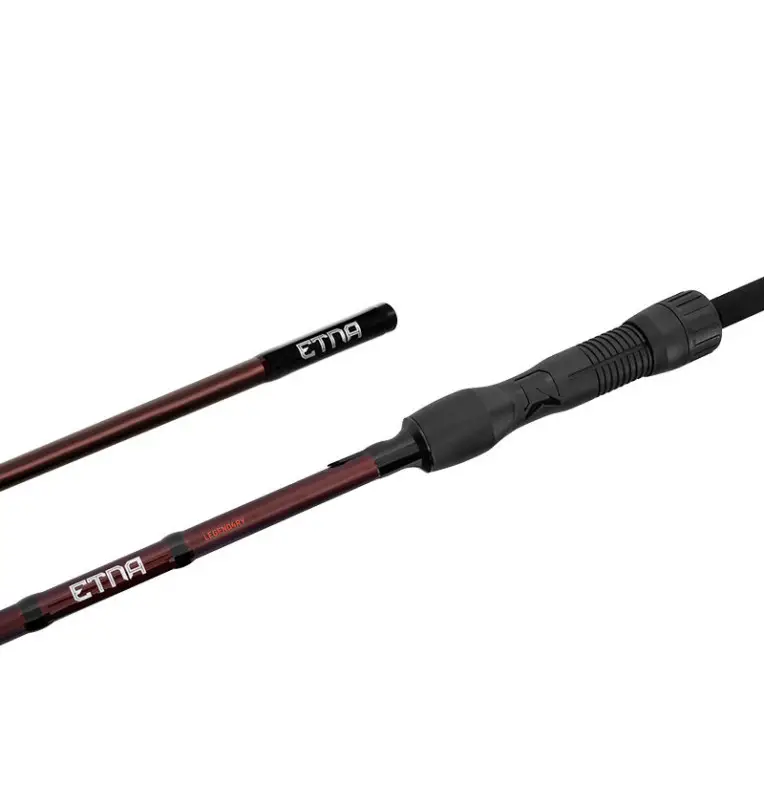 Delphin ETNA LEGEND4RY 10ft 3,0m 3,0lbs Profi Karpfen Angelrute Fudji Edition-Ruten-JJ-Fishing