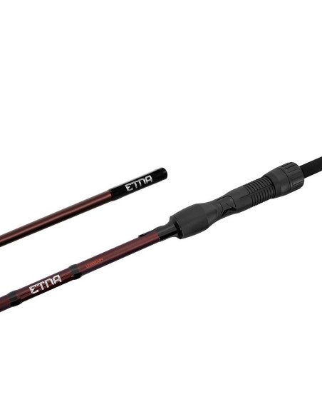 Delphin ETNA LEGEND4RY 10ft 3,0m 3,0lbs Profi Karpfen Angelrute Fudji Edition-Ruten-JJ-Fishing