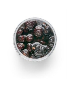 Mivardi Tigernüsse Jumbo Black 250ml Eingelegte Hookbaits Dipped Köder Karpfen-Köder-JJ-Fishing