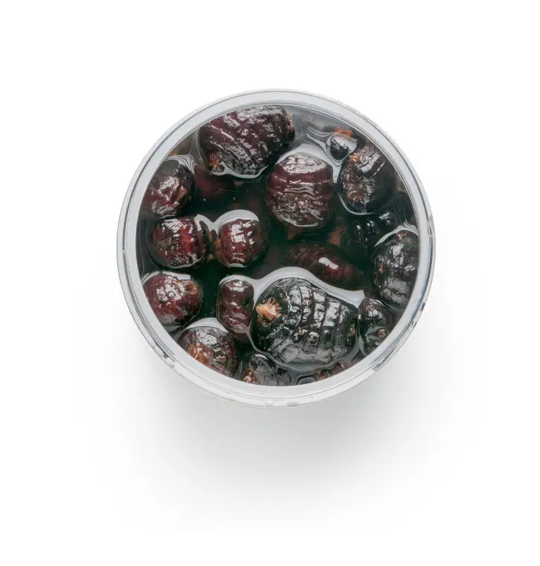 Mivardi Tigernüsse Jumbo Black 250ml Eingelegte Hookbaits Dipped Köder Karpfen-Köder-JJ-Fishing