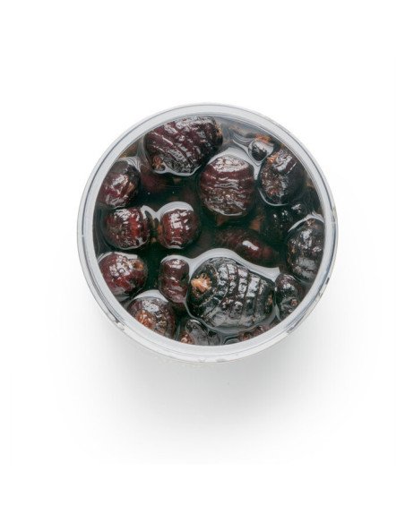 Mivardi Tigernüsse Jumbo Black 250ml Eingelegte Hookbaits Dipped Köder Karpfen-Köder-JJ-Fishing