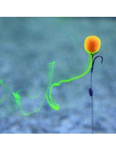 Steg Smoke Ball Pop Up Pineapple 8-10mm Soluble 20g Method Feeder Köder-Köder-JJ-Fishing 2