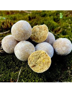 Steg Salty Range Boilies Sweet Dream 20mm 800g Gesalzene Boilies Compedition Edition-Köder-JJ-Fishing 2