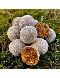 Steg Salty Range Boilies Sweet Spicy 20mm 800g Gesalzene Boilies Compedition Edition-Köder-JJ-Fishing 2