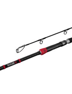 Delphin RIVERA NX 240cm 150g Wels Spinnrute Predator Angelrute Catfish Rod-Ruten-JJ-Fishing
