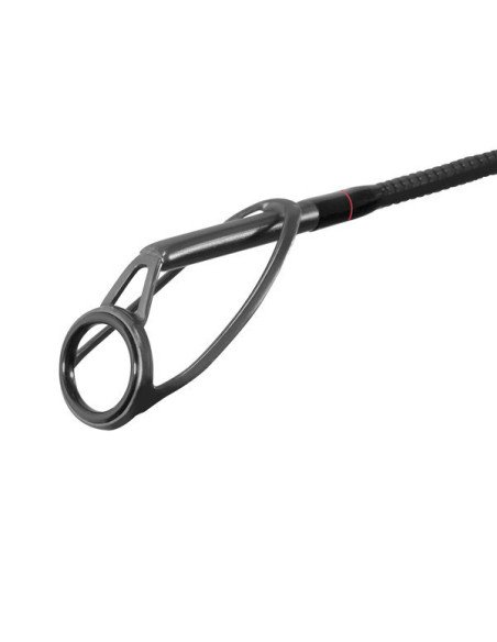 Delphin RIVERA NX 240cm 150g Wels Spinnrute Predator Angelrute Catfish Rod-Ruten-JJ-Fishing
