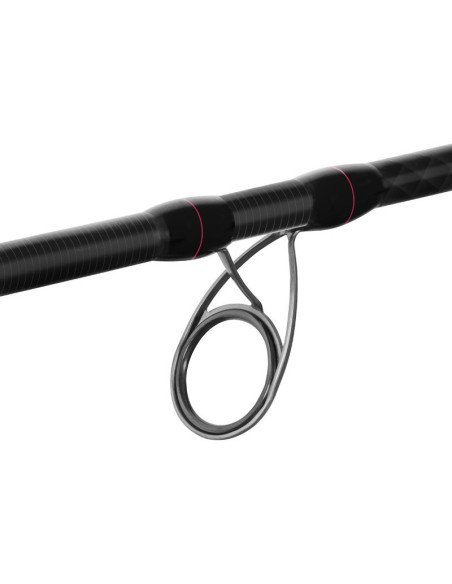 Delphin RIVERA NX 240cm 150g Wels Spinnrute Predator Angelrute Catfish Rod-Ruten-JJ-Fishing