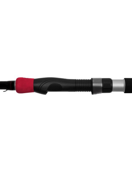 Delphin RIVERA NX 240cm 150g Wels Spinnrute Predator Angelrute Catfish Rod-Ruten-JJ-Fishing